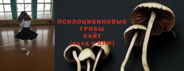ECSTASY Абдулино