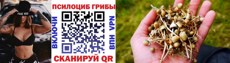 Галлюциногенные грибы мицелий  Белебей 